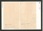Pleurosigma spencerii (Queck.) W.Sm. (de-Toni-Nr.: Genus 13, Species 1076) Zeichnungen Sammlung Grunow (NHMW-BOT-W0369089)